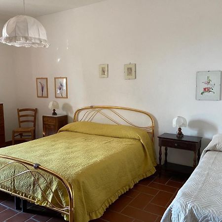 La Casina Rosella Διαμέρισμα Montaione Εξωτερικό φωτογραφία